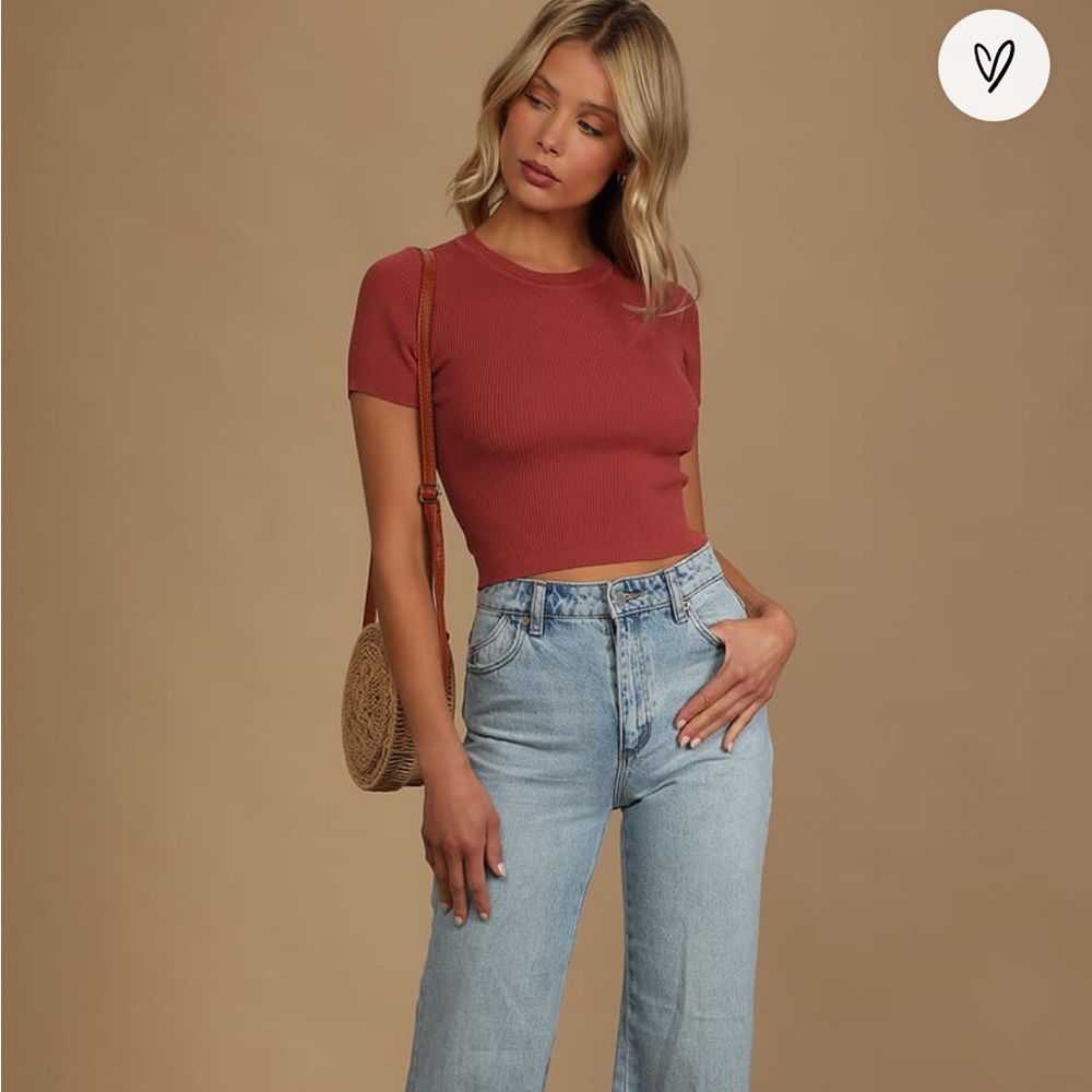Max Rust Red Ribbed Cropped Sweater Top